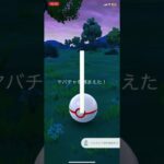 ヤバチャ進化先捕獲#ポケモンgo