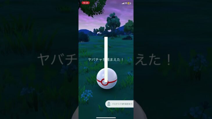ヤバチャ進化先捕獲#ポケモンgo