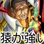 トレクル GP 黄猿が強い！