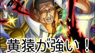 トレクル GP 黄猿が強い！