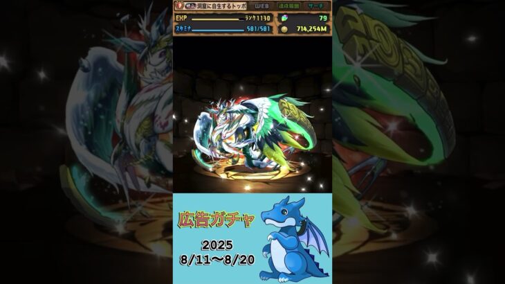 [パズドラ]  広告ガチャ　2025/8/11〜8/20