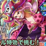 【トレクル】トレジャーマップvsエース開幕!!順位報酬やランク帯はどう変わる!?虹色Planet のワンピーストレジャークルーズしっかり生配信#789【トレクル OPTC トレマ】