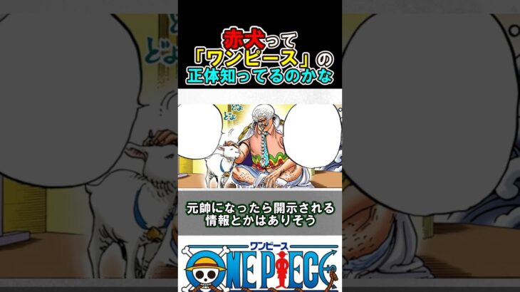 【ワンピース】赤犬って全てを知ってるのかな?#ワンピース