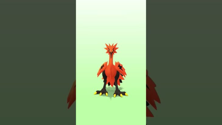 【ポケモン GO】初めて 4ヶ月相棒 紹介してみた#ポケモン #ポケモンgo #ポケヤドン
