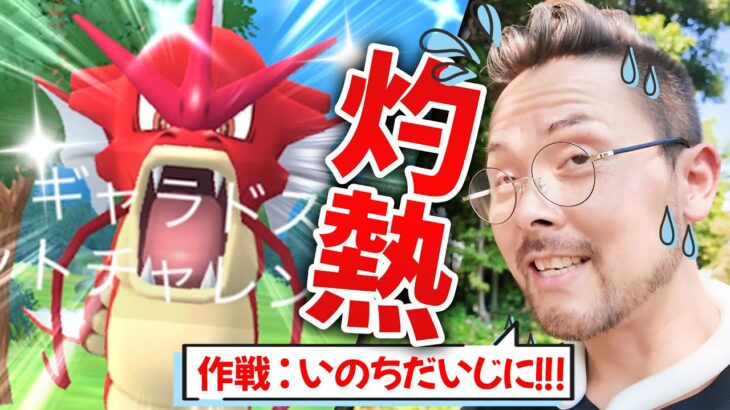 作戦：いのちだいじに！！！メガギャラドス色違いも良いけど熱すぎるぞおおおおお！！！【ポケモンGO】