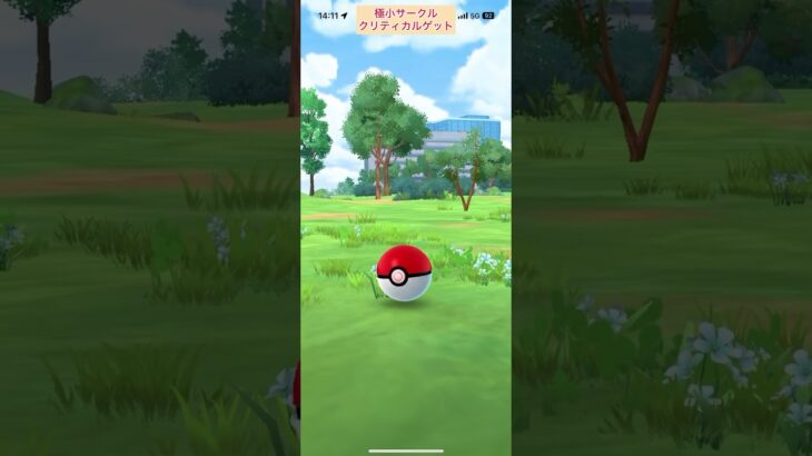 【難易度中】色違いココガラ極小サークルクリティカルゲット【ポケモンGO】