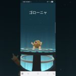 色違いの,ゴローンから,ゴローニャに進化したよ‼️#ポケモンgo #色違いポケモン