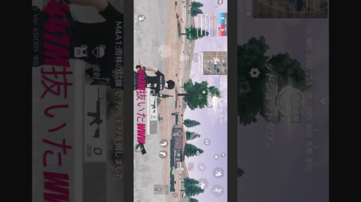 麦畑447m抜いたよ！