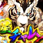 【最難関】金星チャレンジvs鬼滅の刃コラボ！勝つまで絶対にやります！！