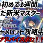 [Fate/Grand Order]ドはまり中のFGOストーリー進める[キャメロット攻略]