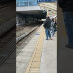 #歌ってみた #ウマ娘プリティーダービー #イラスト 2619(成追線）#emu500 #藍蟑螂 #アニメ @HoushouMarine