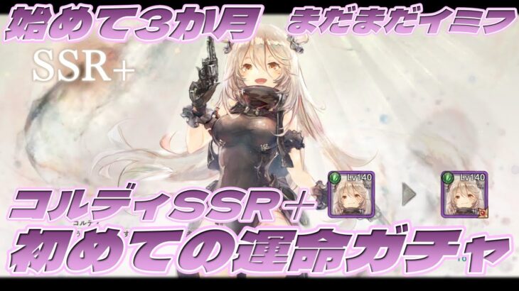 まだまだイミフ【メメントモリ】初めての運命ガチャ～始めて3か月 PC版【高解像度】4K60FPS 5.1chサラウンド録音です  コルディSSR+