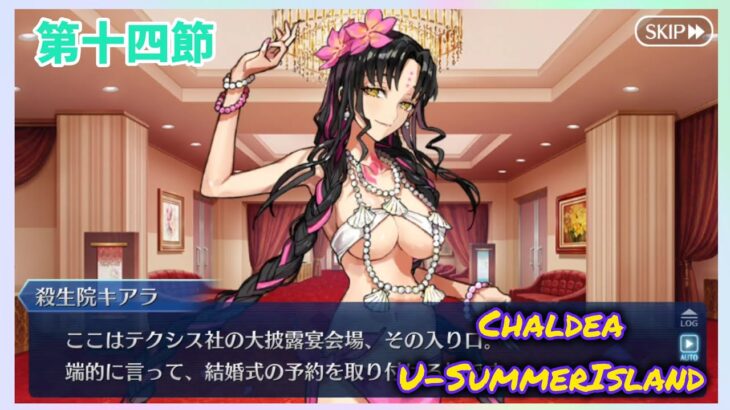 [FGO]　婚活ですね？ ストーリー攻略:14.｢ウェディング・フィールズ・フォーエバー｣　[カルデア・U-サマーアイランド](2025#45)