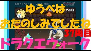 【ドラクエウォーク】ゆうべはおたのしみでしたね【37周目】