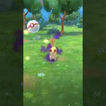 【ポケモンGO】シャドウチコリータ色違い！？　#ポケモン #ポケモンgo #shorts #チコリータ #ゲットチャレンジ