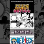 【ワンピース】そりゃあドラゴンは警戒するよね#ワンピース