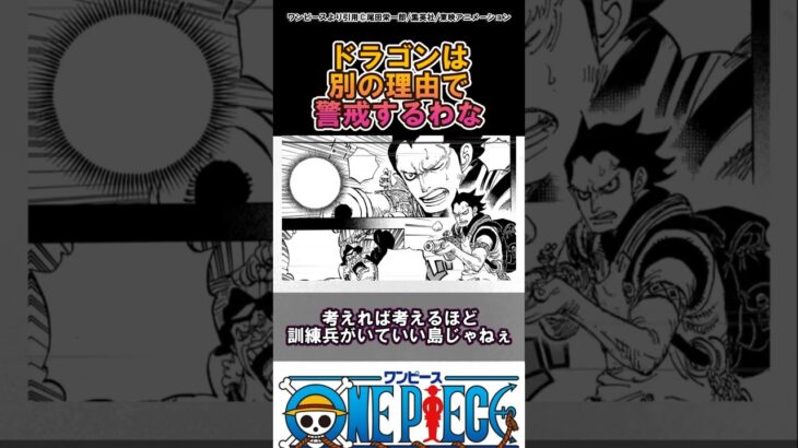 【ワンピース】そりゃあドラゴンは警戒するよね#ワンピース