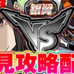 銀翼チャレンジ開催！！初見から勝つまでやる！！【パズドラ配信】