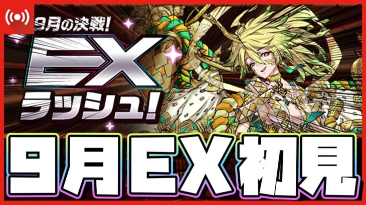 【パズドラ ドラゴン縛り】なんかヤバいらしい？9月クエストEXを初見で攻略する配信