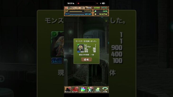やっとだよ#パズドラ