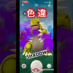 シャドウレイド‼️#ポケモンgo #ポケモン