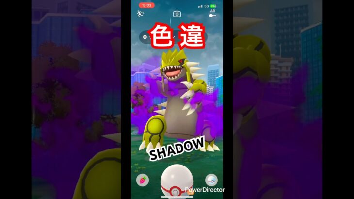 シャドウレイド‼️#ポケモンgo #ポケモン
