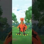 【#ポケモンgo】あぁあぁあぁああ #ガラルサンダー #のびろ