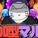 サウナ後整いの裏天球参加型マルチ配信【パズドラ】　#shorts ＃パズドラ