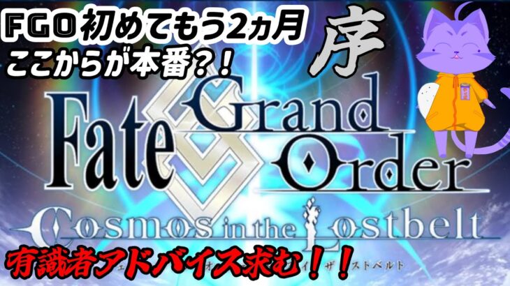 [Fate/Grand Order]遂に２部……？なのか？[　序攻略]