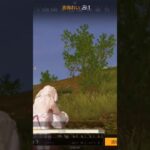 【荒野行動】玉砕覚悟で突撃しながらBGMを付けてみた。ワイルドシリーズ。