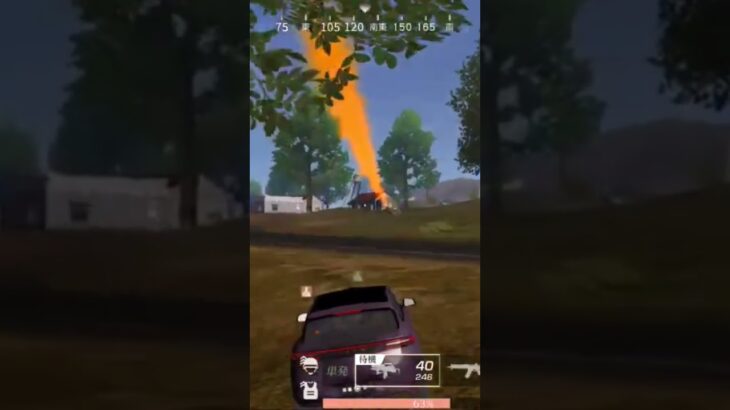 【荒野行動】パトロールしながらBGMを付けてみた。ワイルドシリーズ。