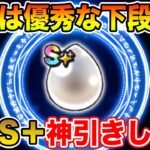 【ドラクエウォーク】ポイント全ツで初日超優秀なS+を狙いたい!! みんなはS+作れた!?【DQW】