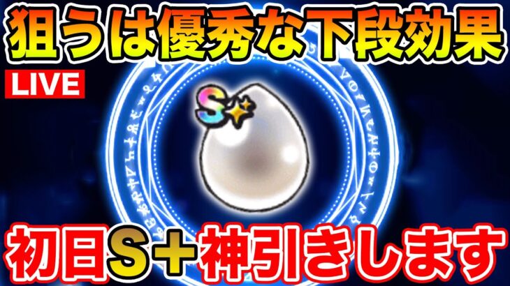 【ドラクエウォーク】ポイント全ツで初日超優秀なS+を狙いたい!! みんなはS+作れた!?【DQW】
