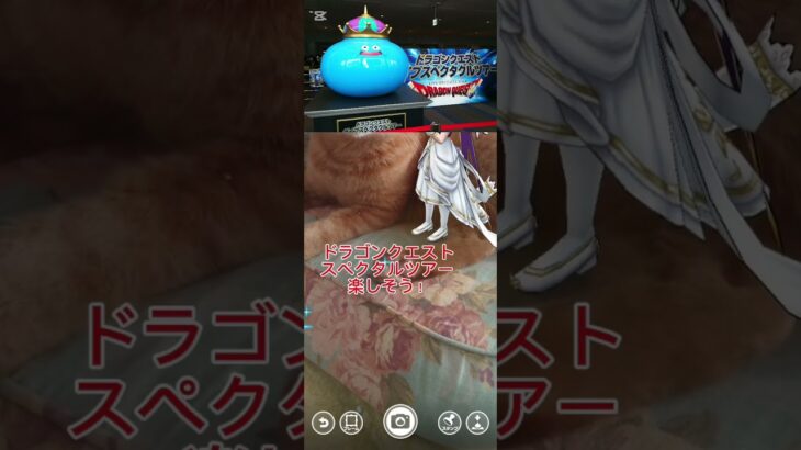 【DQW】【ドラクエウォーク】DQWの輪を広げよう隊・アゲアゲ隊がゆく〜タカ隊員編