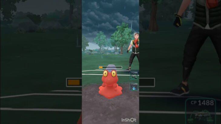 サマーカップ開催【ポケモンGO】