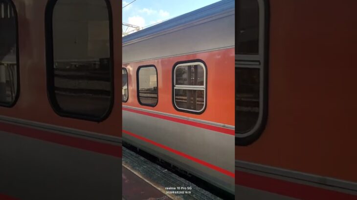 134#pp自強號 #ppe1000 #自強號  #ウマ娘プリティーダービー #ウマ娘 #歌ってみた