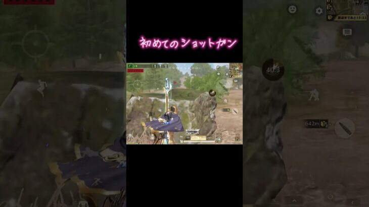 初めてのショットガン　#荒野行動　#ペニンシュラ