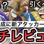 【トレクル】強靭編成に新アタッカー爆誕！？新フェス限”ドリー＆ブロギー”強い？引くべき？ “ガチレビュー”【超スゴフェス】【絆決戦】【OPTC】【Super Sugofest】