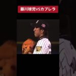 藤川球児VSカブレラ #プロ野球 #プロ野球スピリッツa #カブレラ #藤川球児 #火の玉ストレート #オールスターゲーム