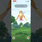 ポケモンGOピジョット