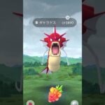 メガギャラドスレイドデイの結果発表✅#ポケモンgo #レイドデイ #shorts#メガ