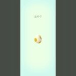 【Pokémon GO】 5km  Egg  Indeedee GET✨