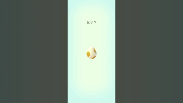 【Pokémon GO】 5km  Egg  Indeedee GET✨