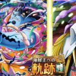 【トレクル】軌跡＆雑談配信!!ジンベエの性能やら一緒に把握しましょ!!虹色Planet のワンピーストレジャークルーズまったり生配信#803【トレクル OPTC 】