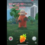 ポケモンGOメガバクーダレイドデイ❗️#ポケモン #ポケモンgo レイド