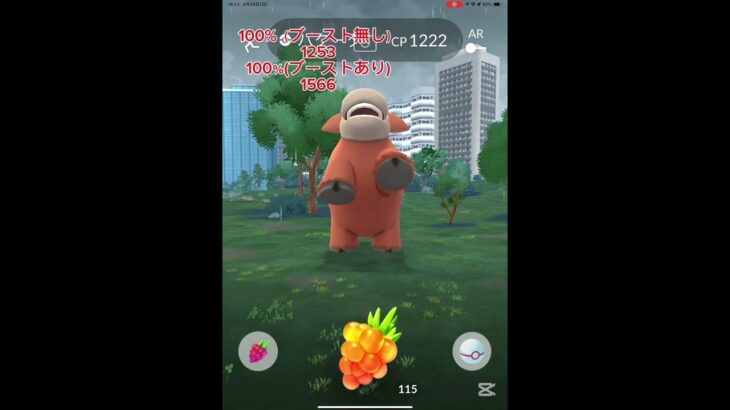 ポケモンGOメガバクーダレイドデイ❗️#ポケモン #ポケモンgo レイド