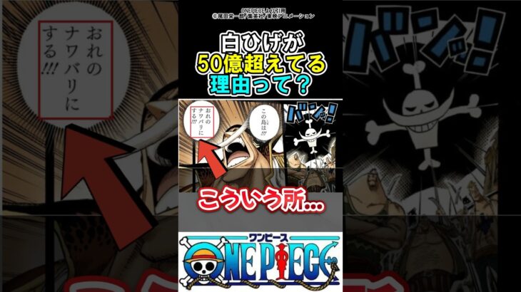 【ワンピース】白ひげが50億超えてる理由って…#ワンピース