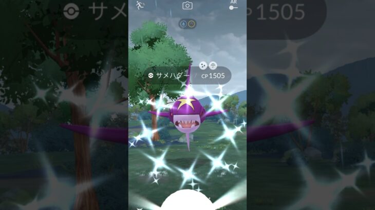 【ポケモンGO】メガサメハダー！レイドデイで高個体＆色違いチャレンジ！！#nintendo #pokemon #pokemongo #ポケモン #ポケモンgo #shorts #色違い #サメハダー