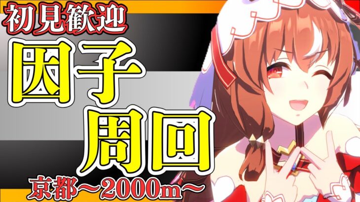 【ウマ娘】差し用因子周回！/因子お披露目ルムマ開催しておりますので、気軽にご参加ください！