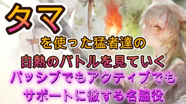 黄パに必須級！？タマのサポート先に夏アムレート？水着モーザ？トリッキー編成でも強い脅威のサポート力！【メメモリ】